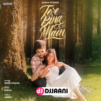 Tere Bina Main  Inder Chahal