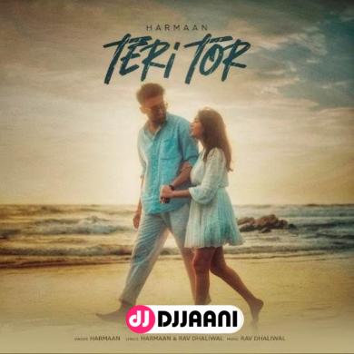 Teri Tor  Harmaan