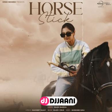 Horse Stick  Baani Sandhu