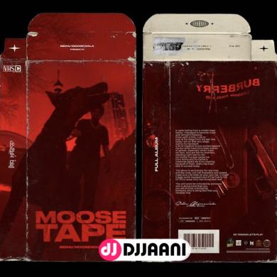 295 (Moosetape) Sidhu Moose Wala
